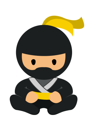  ninja
